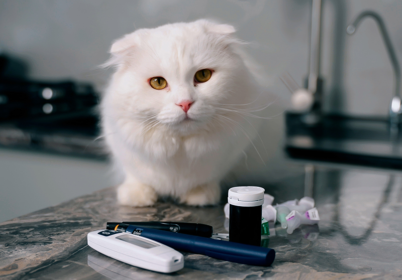 In-House Diagnostics